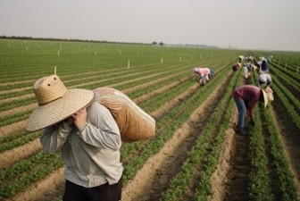 ​Wednesday, November 13, 6:00-7:30 p.m.: Dinner and Farmworker Forum with Zeke Guzman